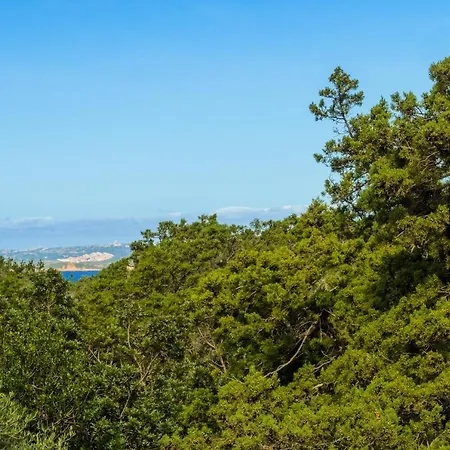 Private Orione 빌라 *